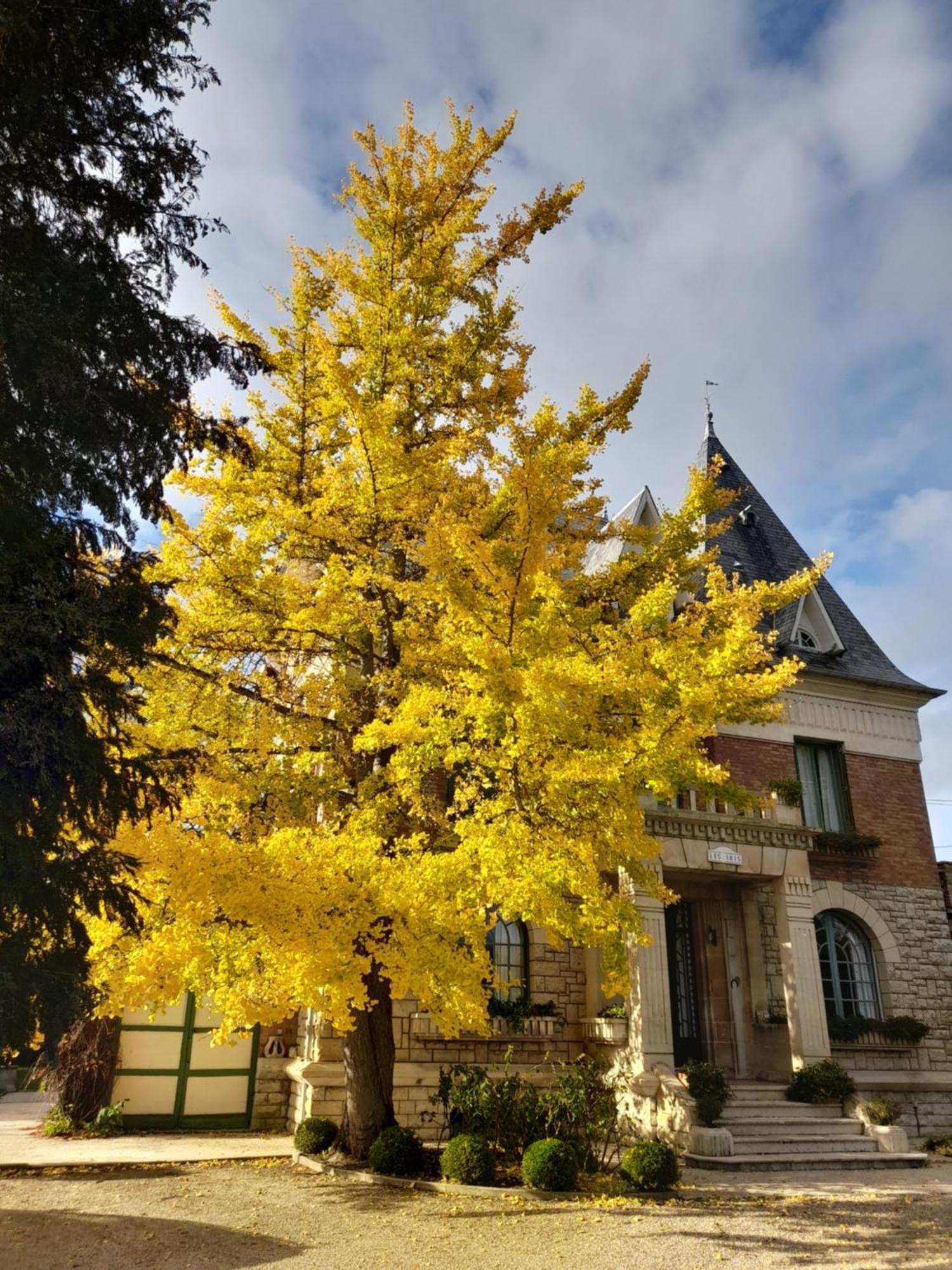 Villa Les Iris Saint-Felix  ภายนอก รูปภาพ